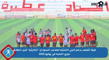 فيفا تتعهد بدعم البنى التحتية لملاعب السودان “الكارثية” قبل انطلاق دوري النخبة في يوليو 2025